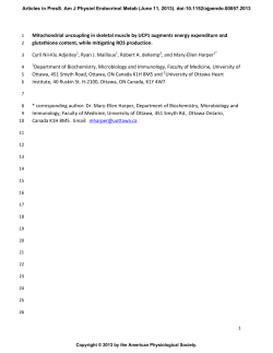 Mitochondrial uncoupling in skeletal muscle by UCP1 augments