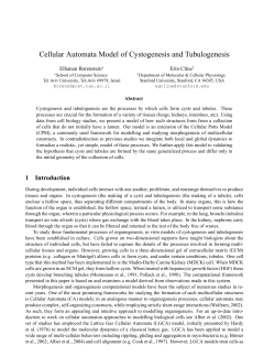 Cellular Automata Model of Cystogenesis and Tubulogenesis