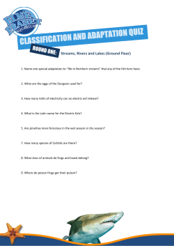 Streams, Rivers and Lakes (Ground Floor)