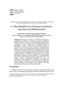 6. Mitochondrial involvement in stemness and stem cell differentiation