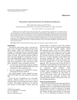 Enzymatic transesterification for biodiesel production
