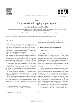 Energy transfer and trapping in photosystem I