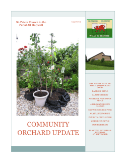 community orchard update