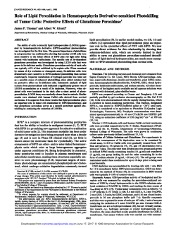 Role of Lipid Peroxidation in Hematoporphyrin
