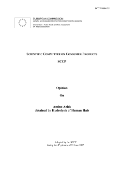 on Amino Acids obtained by hydrolysis of human hair