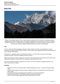 page as PDF