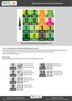 4x4 square foot planting plan 1