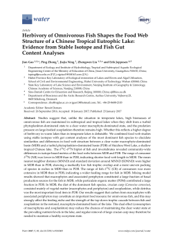 Herbivory of Omnivorous Fish Shapes the Food Web Structure of a