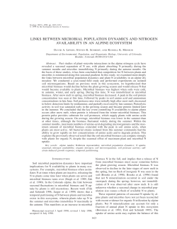 links between microbial population dynamics and nitrogen