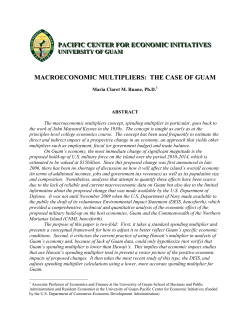 PCEI Technical Report Issue #8 (Macroeconomic Multipliers