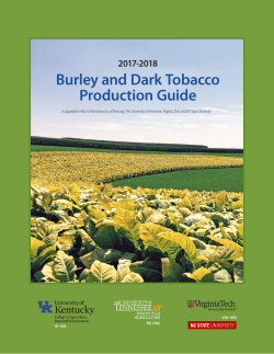 Burley and Dark Tobacco Production Guide