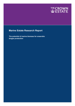 Potential of marine biomass for anaerobic