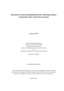 Discovery of salt-loving pleolipoviruses infecting archaea