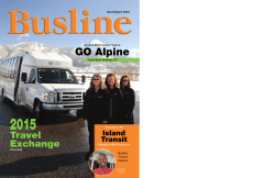GO Alpine - Turtle Top