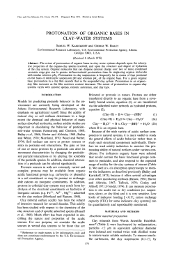 protonation of organic bases in clay-water systems