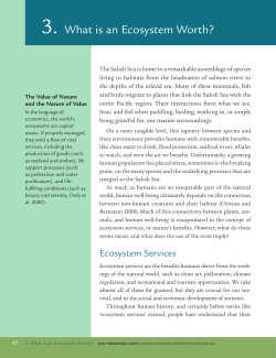 What is an Ecosystem Worth - Raincoast Conservation Foundation