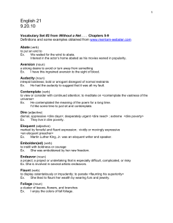 English 21 Vocabulary Set 2