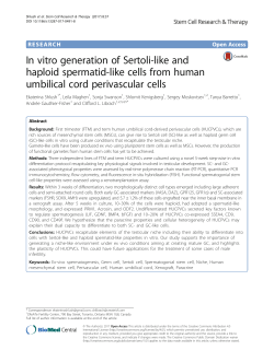 In vitro generation of Sertoli-like and haploid spermatid