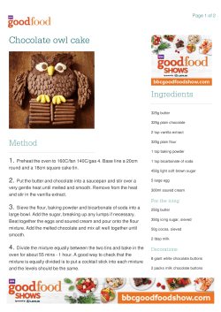Chocolate owl cake