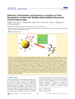Molecular Conformations and Dynamics on