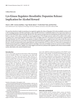 Lyn Kinase Regulates Mesolimbic Dopamine Release