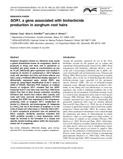 SOR1, a gene associated with bioherbicide