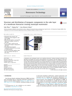 Structure and distribution of inorganic components in the cake layer