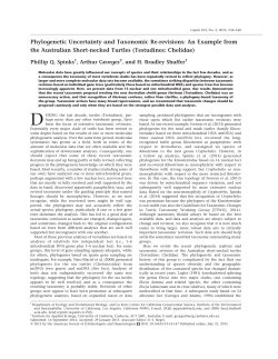 Phylogenetic Uncertainty and Taxonomic Re