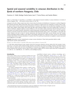 Spatial and seasonal variability in cetacean