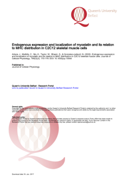 Endogenous expression and localization of myostatin and its
