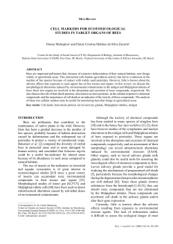 cell markers for ecotoxicological studies in target organs of bees