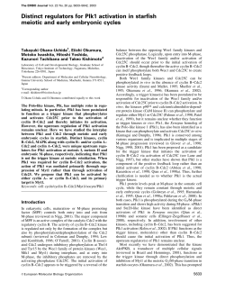 Distinct regulators for Plk1 activation in starfish meiotic and early