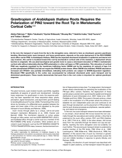 pdf: Rahman et al. 2010