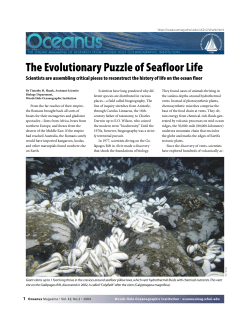 evol seafloor life