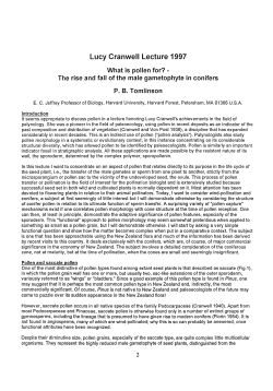 Lucy Cranwell Lecture 1997 - New Zealand Regional Botanical