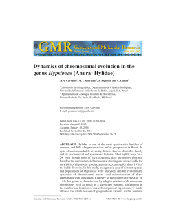 Dynamics of chromosomal evolution in the genus