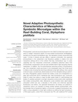 Novel Adaptive Photosynthetic Characteristics of Mesophotic