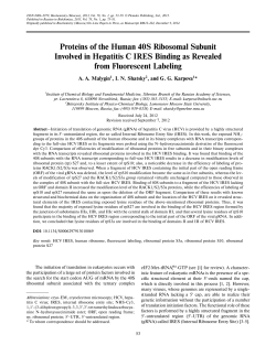 Proteins of the Human 40S Ribosomal Subunit Involved in Hepatitis