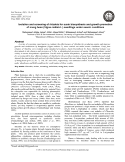 Isolation and screening of rhizobia for auxin biosynthesis and growth