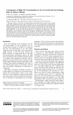 Consequences of High C 0 2-Concentrations in Air on Growth and