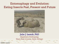 File - Entomophagy Anthropology
