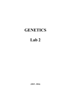 GENETICS Lab 2