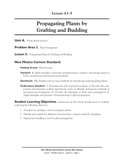 Propagating Plants by Grafting and Budding