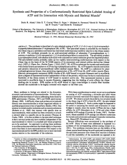 Synthesis and properties of a conformationally restricted spin