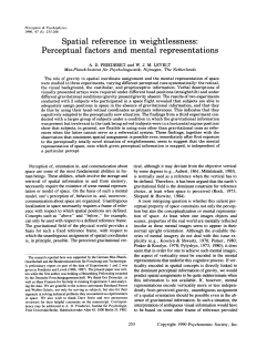 Spatial reference in weightlessness