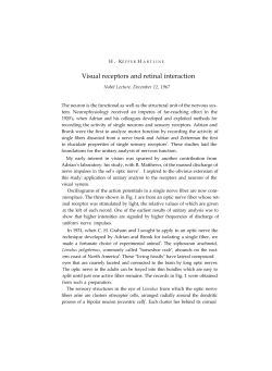 H. Keffer Hartline - Nobel Lecture