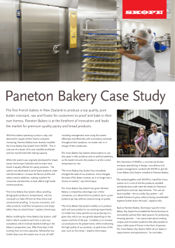 Paneton Bakery Case Study