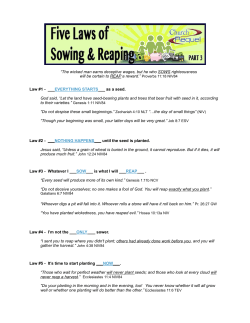 Outline - Clover Sites