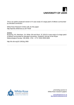 A case study of a large patch of billows surmounted by elevated