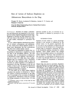 Aldosterone Biosynthesis in the Dog